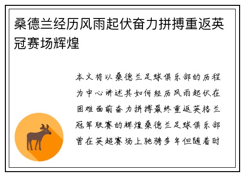 桑德兰经历风雨起伏奋力拼搏重返英冠赛场辉煌